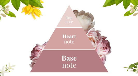 the fragrance pyramid for wax melts