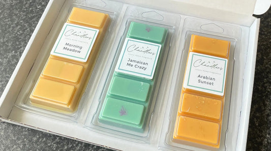 August wax melt snapbar subscription box with three full-size scented snapbars